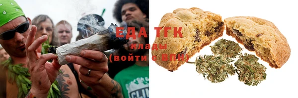 эйфоретик Арсеньев
