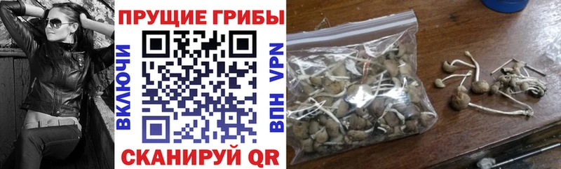 наркота сайты даркнета формула Псилоцибиновые грибы GOLDEN TEACHER Циолковский hydra