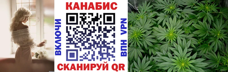 где купить   Циолковский  Конопля Amnesia 